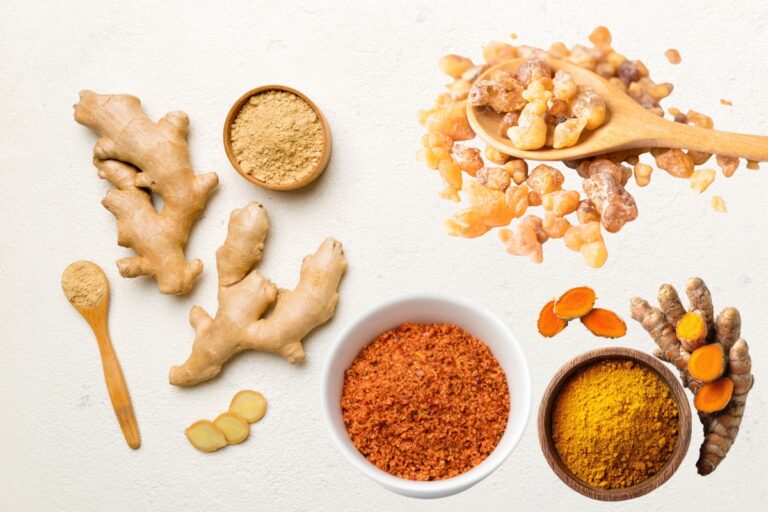 kurkuma, đumbir, tamjan i ljuta paprika na slici